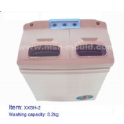 Washing Machine Mould